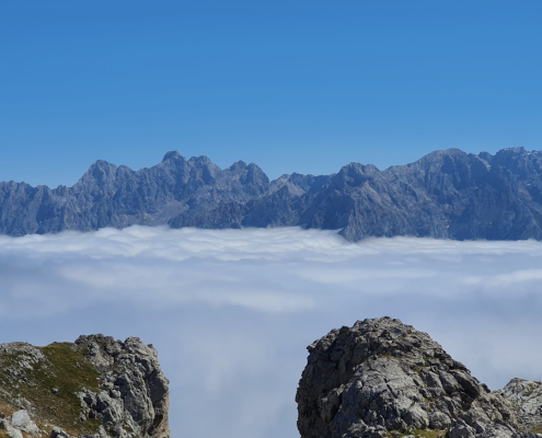 Anillo picos de europa