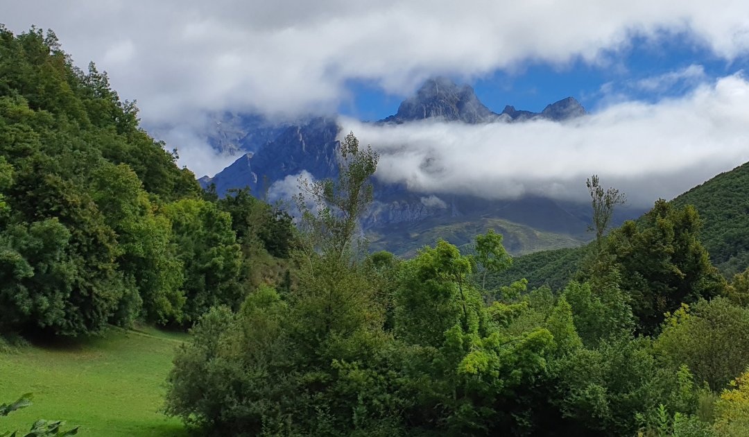 Paisaje picos Asturias