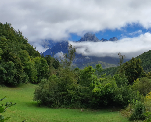 Paisaje picos Asturias