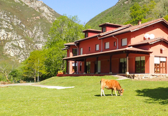 Albergue