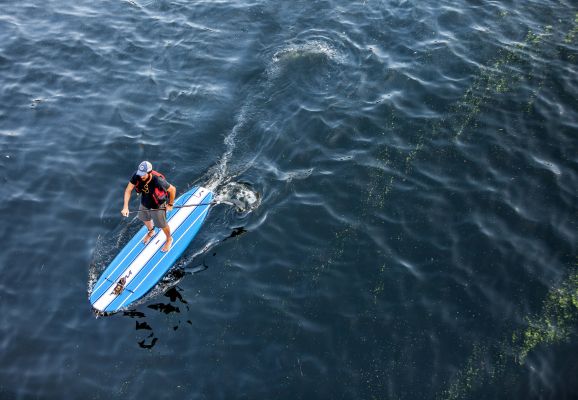 Paddle surf